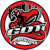 GDT Bellinzona Snakes