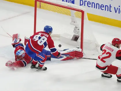 Hockey sur glace. Carolina à deux doigts de la finale de la Coupe Stanley - La Liberté