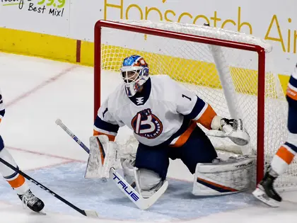 DEL – Un ancien gardien des Islanders rejoint les Straubing Tigers