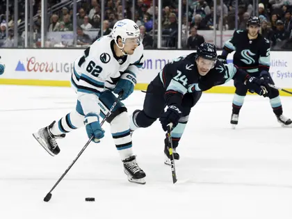 Hockey sur glace. Un nouvel attaquant pour Rapperswi-Jona - La Liberté