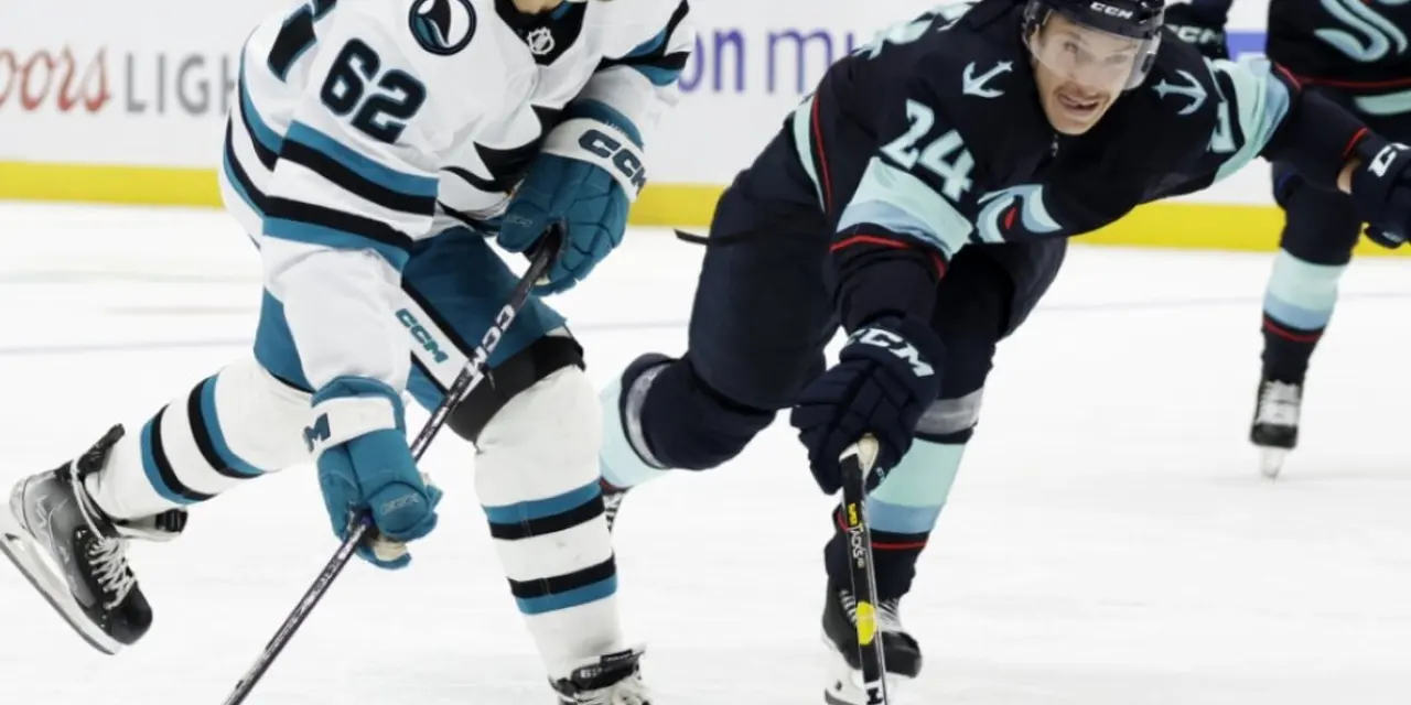 Hockey sur glace: Un nouvel attaquant pour Rapperswi-Jona - ArcInfo