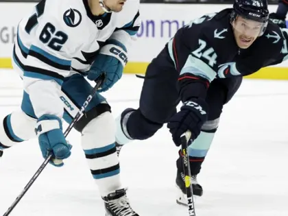 Hockey sur glace: Un nouvel attaquant pour Rapperswi-Jona - Le Nouvelliste