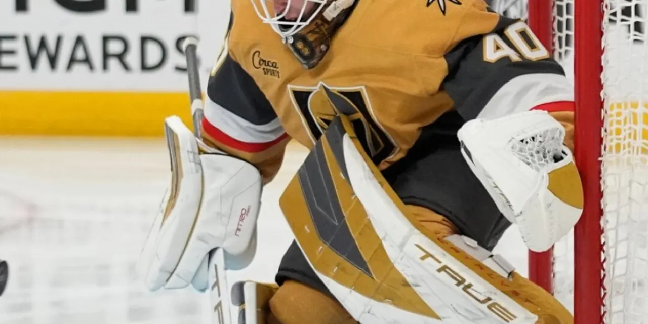 Hockey sur glace: Un contrat de deux ans pour Schmid - Le Nouvelliste